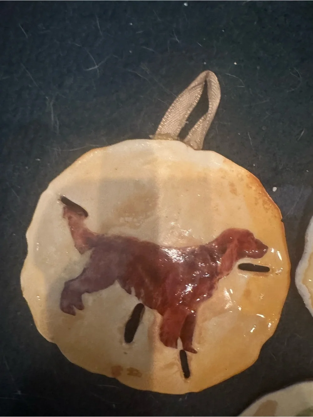 Handmade Golden Retriever real  Sand Dollar Dog Ornament s
